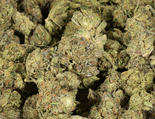 Master Bubba 6a 1