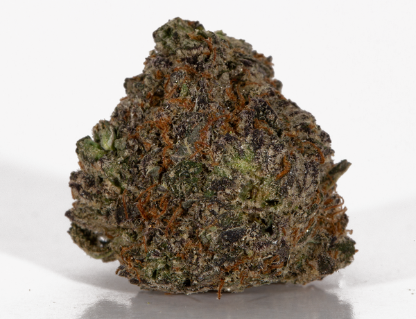 Phat Gorilla 1 1