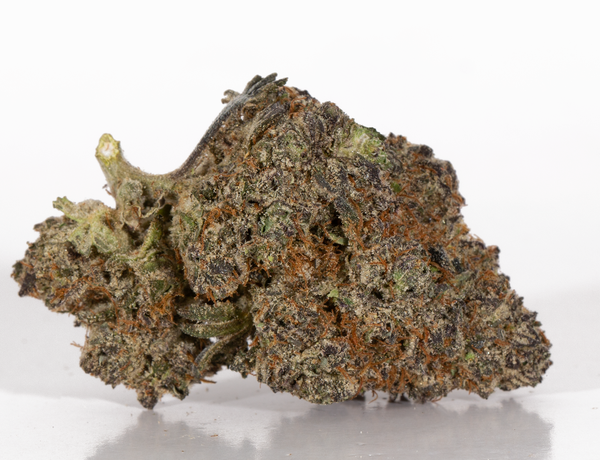 Phat Gorilla 4