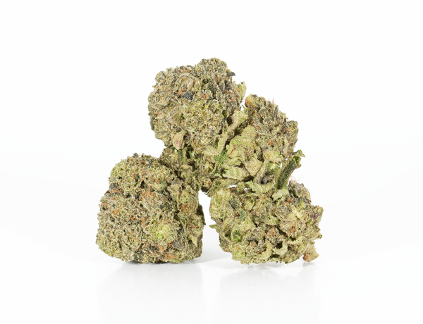 Pink Rockstar 2a 1
