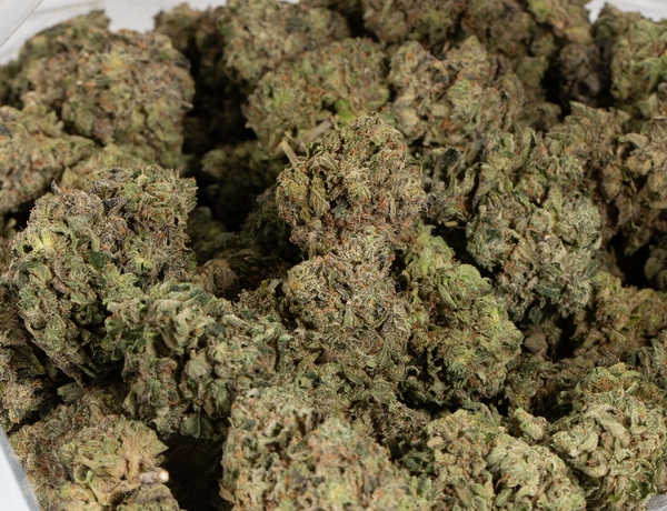 Rockstar 6 1