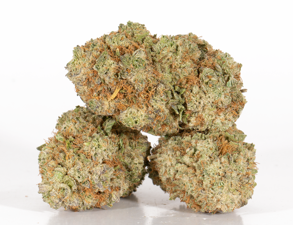 Yoda OG 3