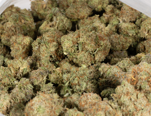 Yoda OG 6