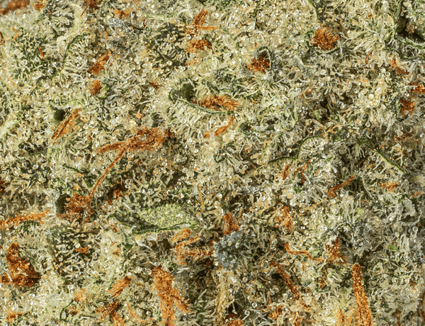 AK 47 AAA 4