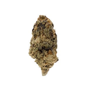Lucky Farms - Comatose