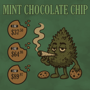 Mint Chocolate Chip (Promo)