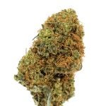 CITRUS-SKUNK-2-1.jpg