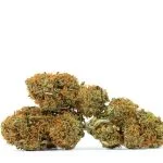 CITRUS-SKUNK-3-1.jpg