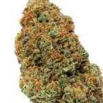 GELATO-41-2-min-1.jpg