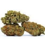 GELATO-41-3-min-1.jpg