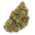 GELATO-CAKE-2-1.jpg