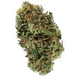 KING-KUSH-2-1.jpg