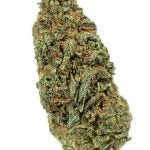 SOUR-HAZE-2-1.jpg