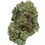 SILVER-HAZE-2-1.jpg