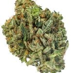 CRITICAL-KUSH-3-min.jpg