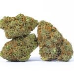 SOUR-DIESEL-4-min.jpg