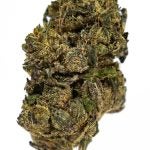 PURPLEKUSH-2-min.jpg