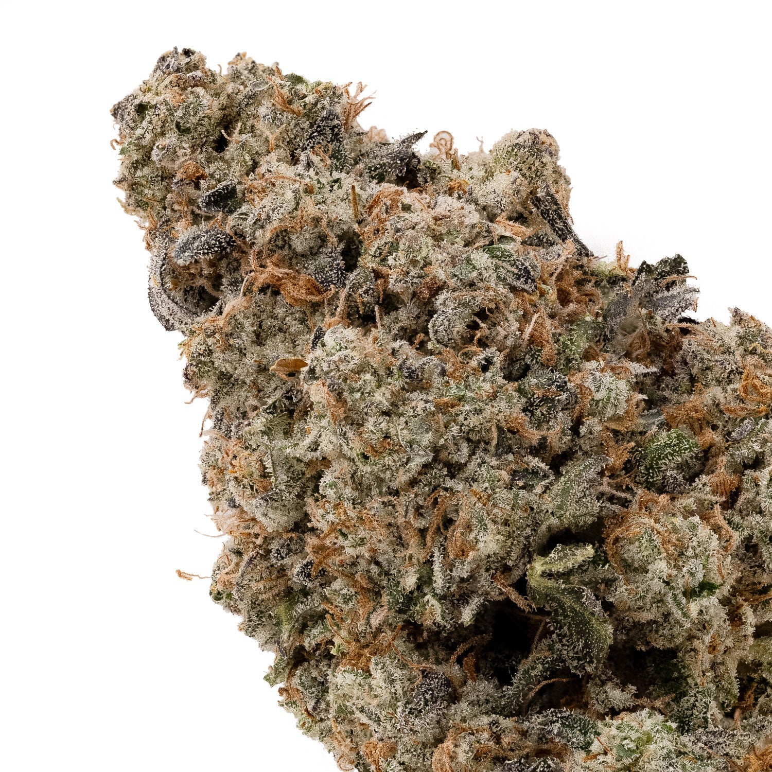 LASourDiesel-04-1.jpg