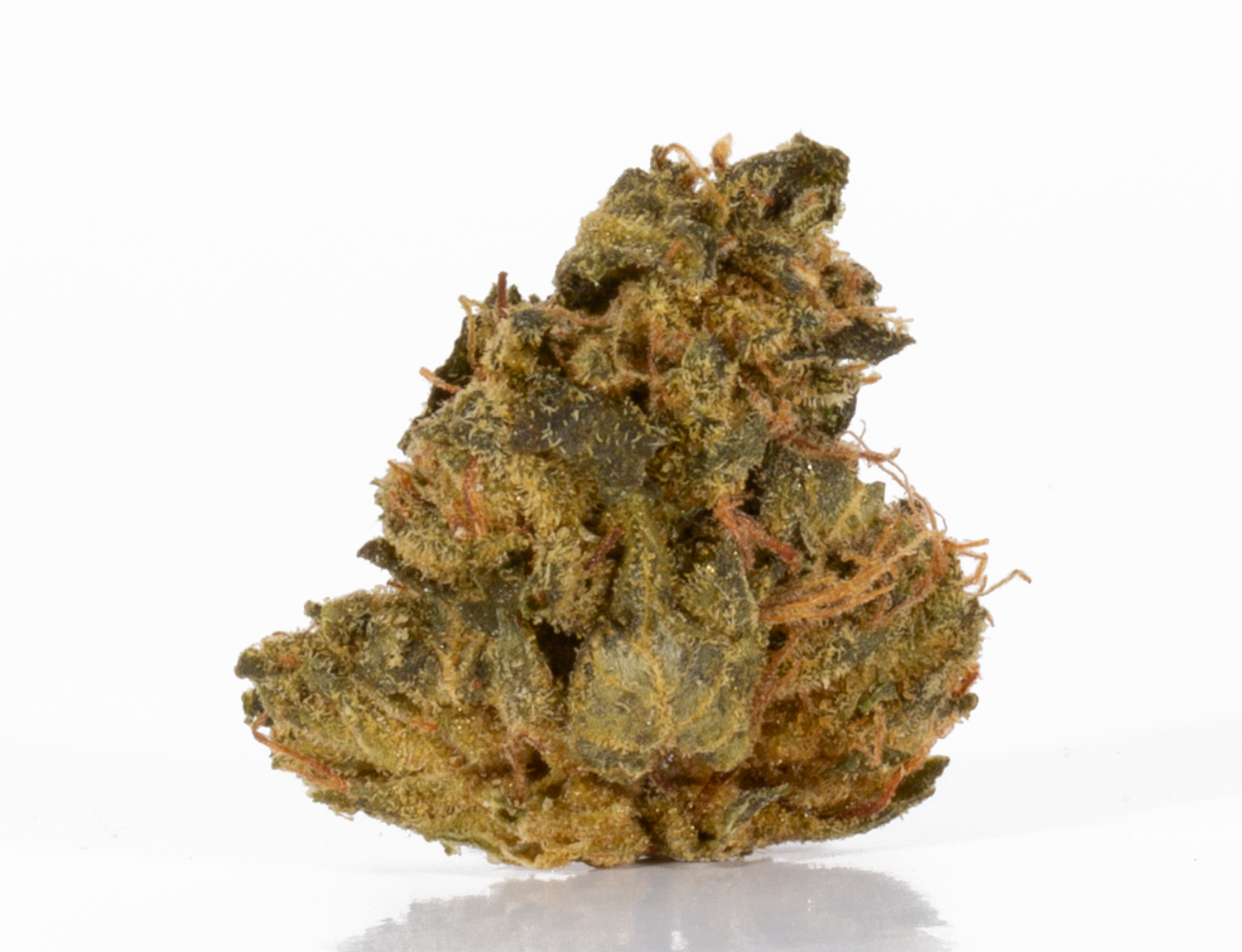 Pine Tar Kush 1 – a