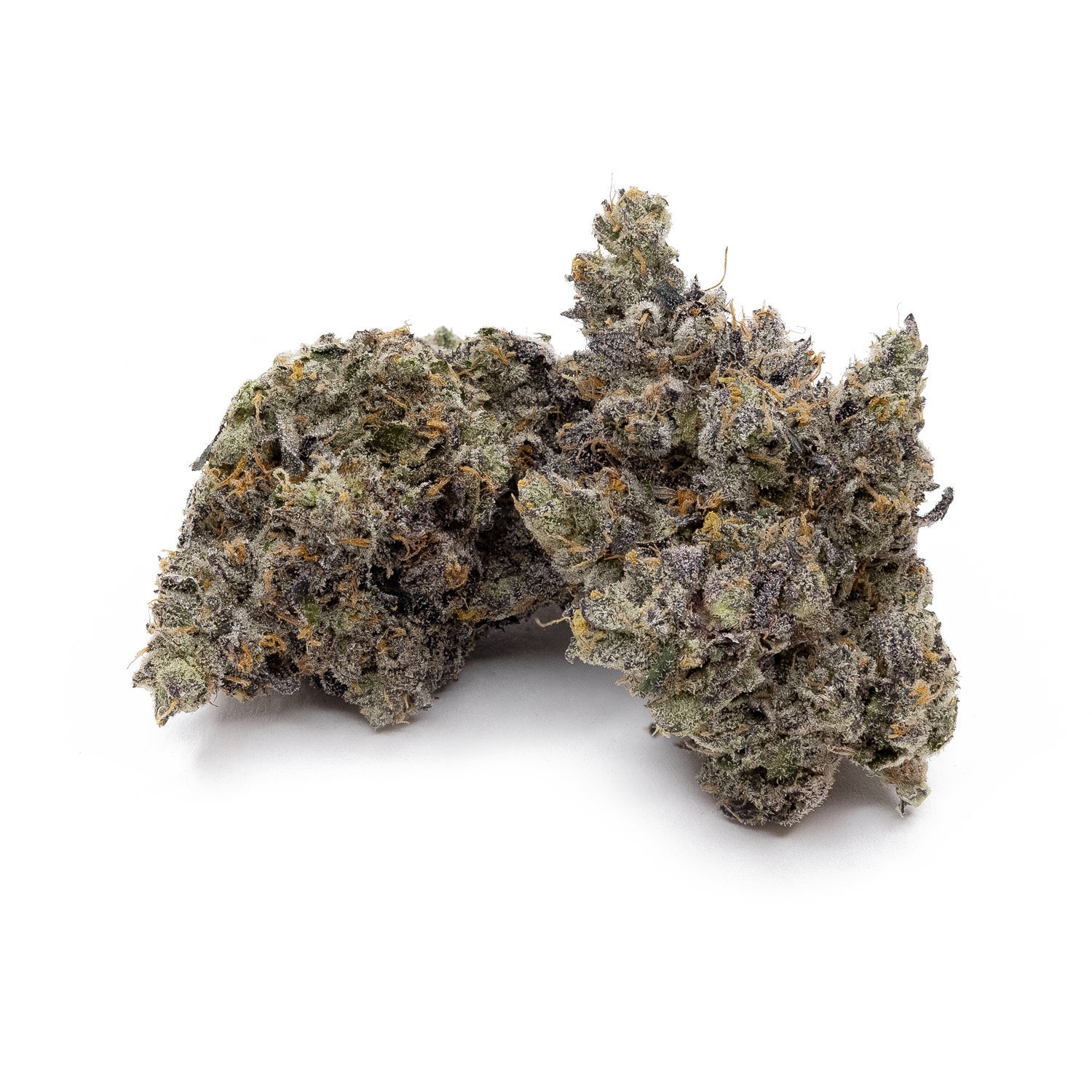 RainbowChip4-OsoFuego-02