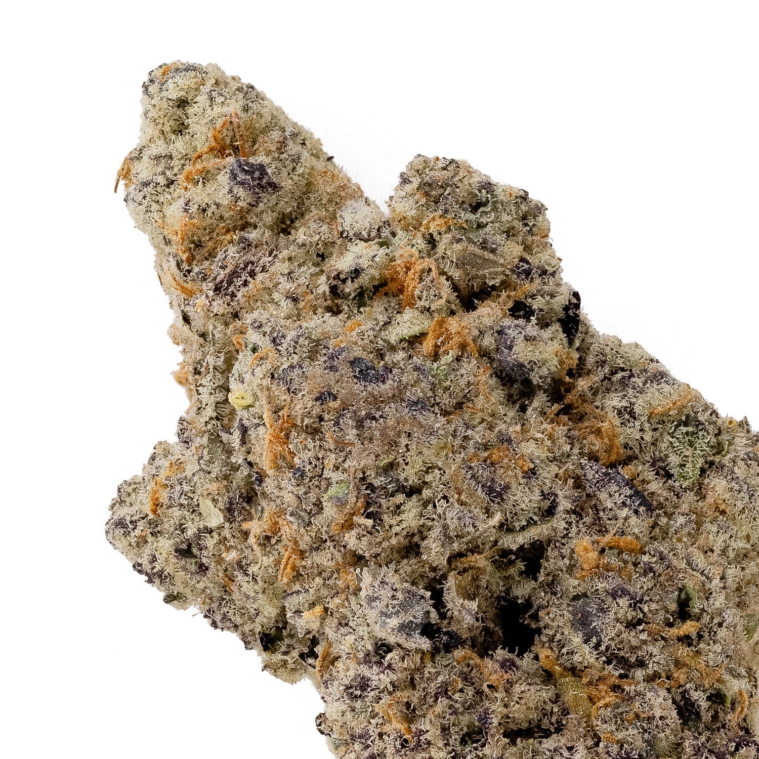 StrawberryCream-OsoFuego-04