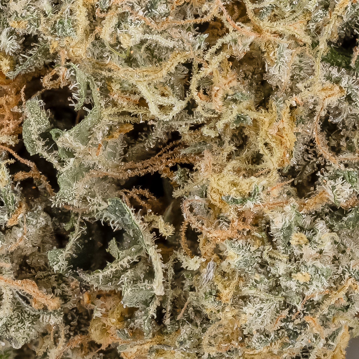 WeddingCake-LuckyFarms-06