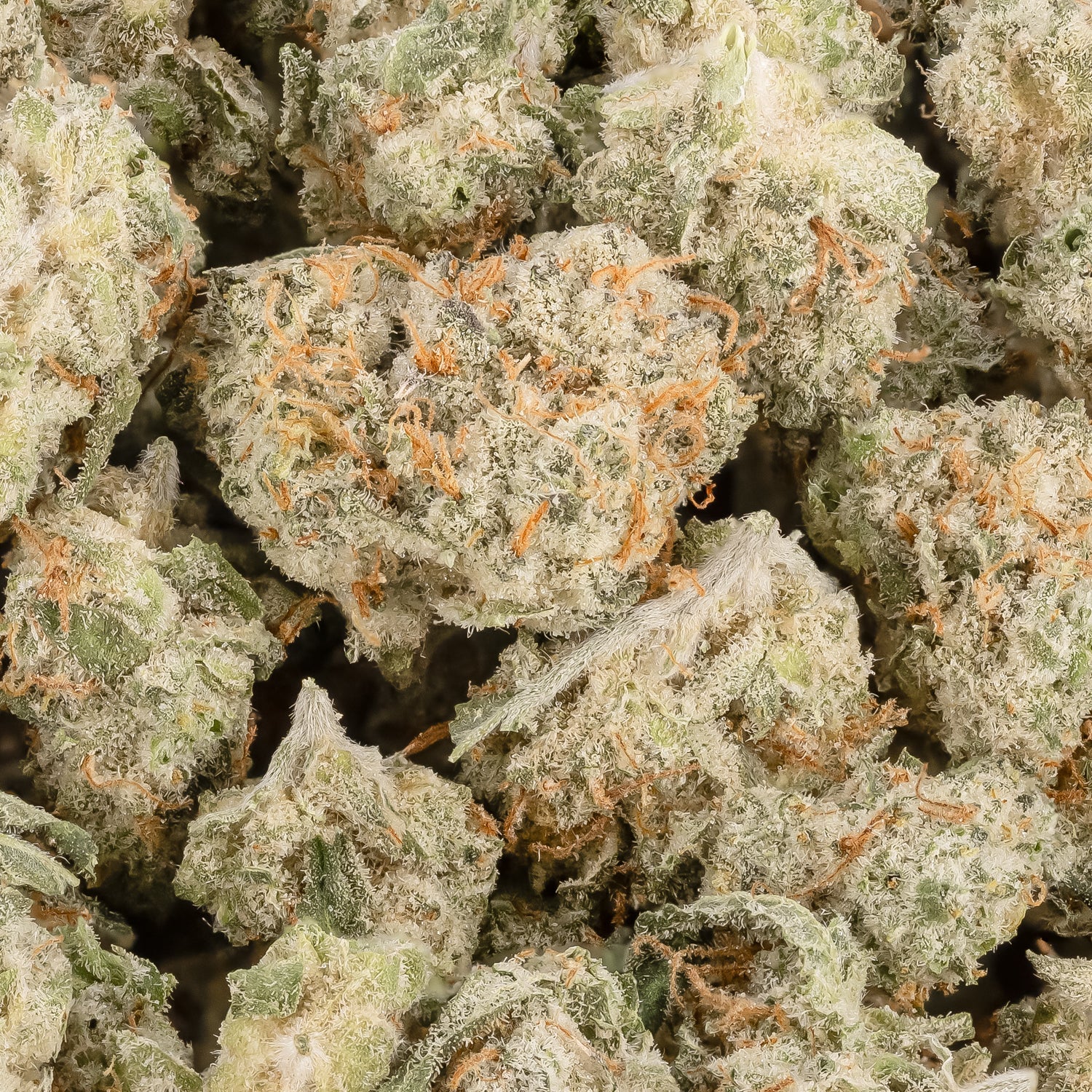 WhiteWidowSmalls-LuckyFarms-03