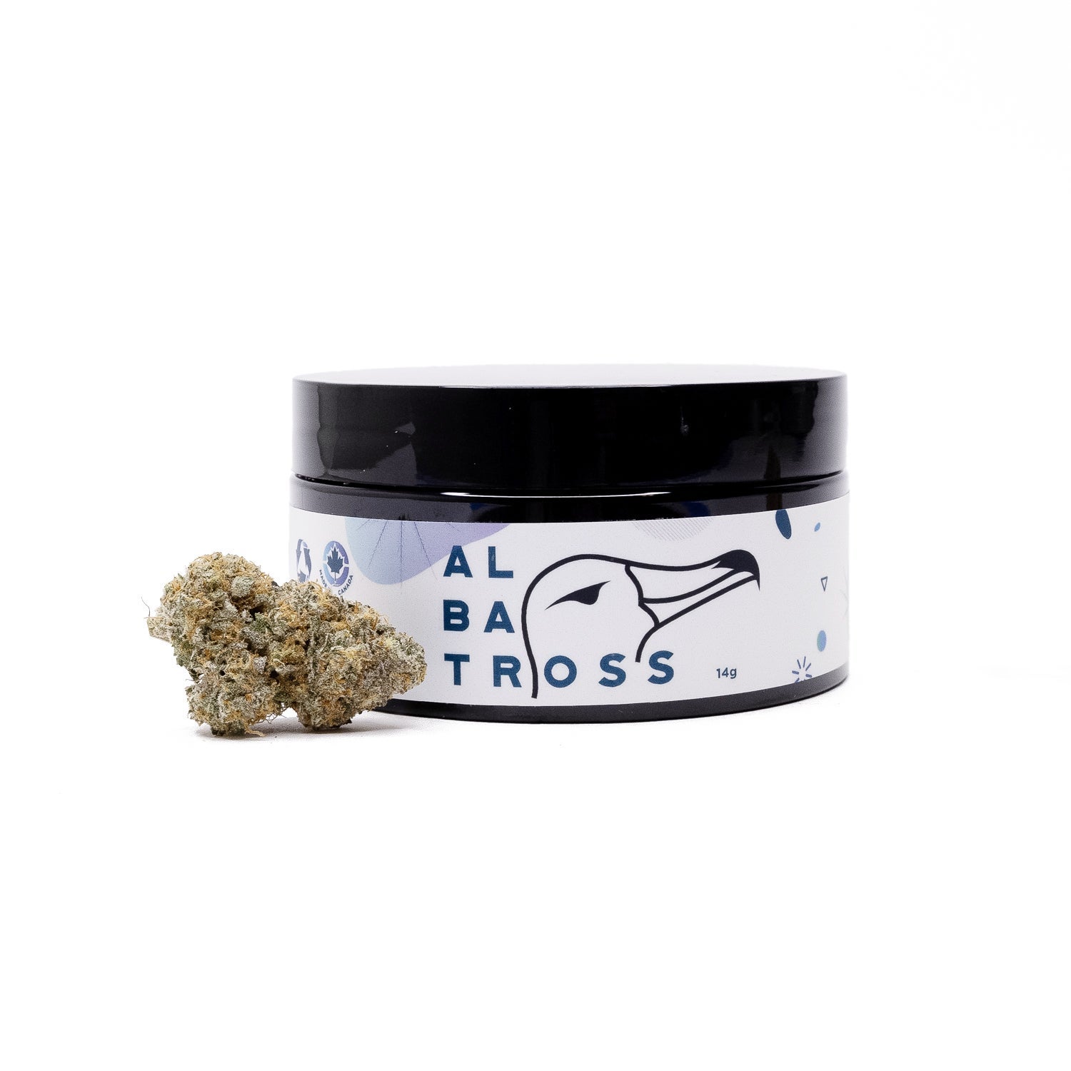 AnimalMints-Albatross-07