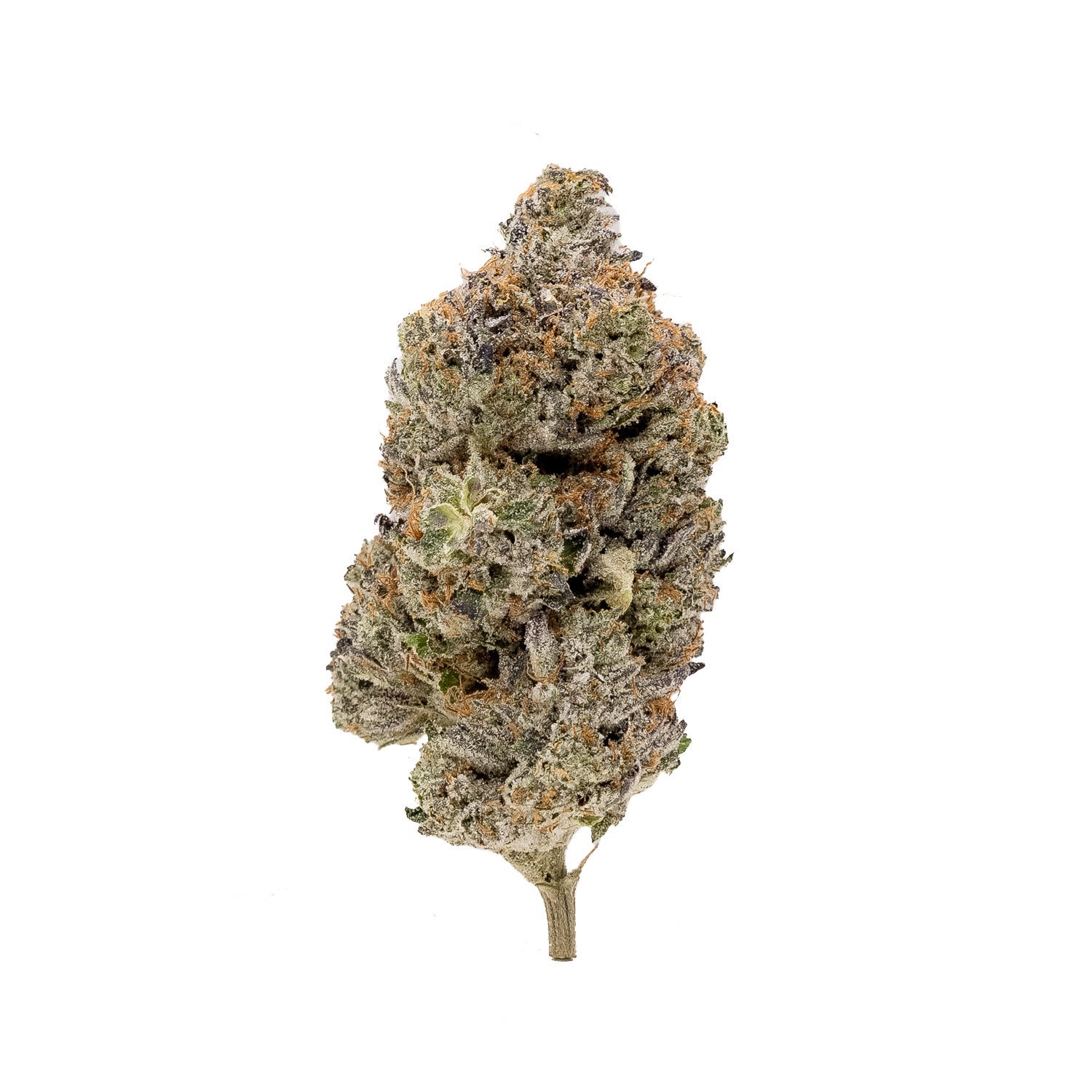 PineTarKush-Hoot-03