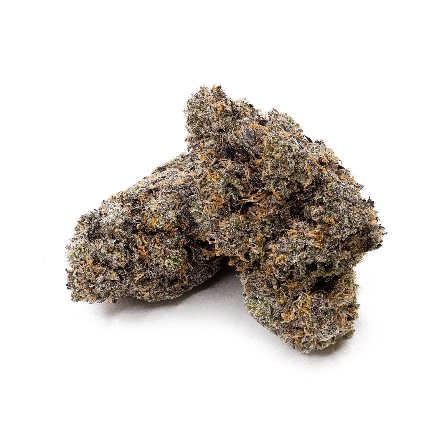 PlatinumGrapes-Hoot-02 (1)