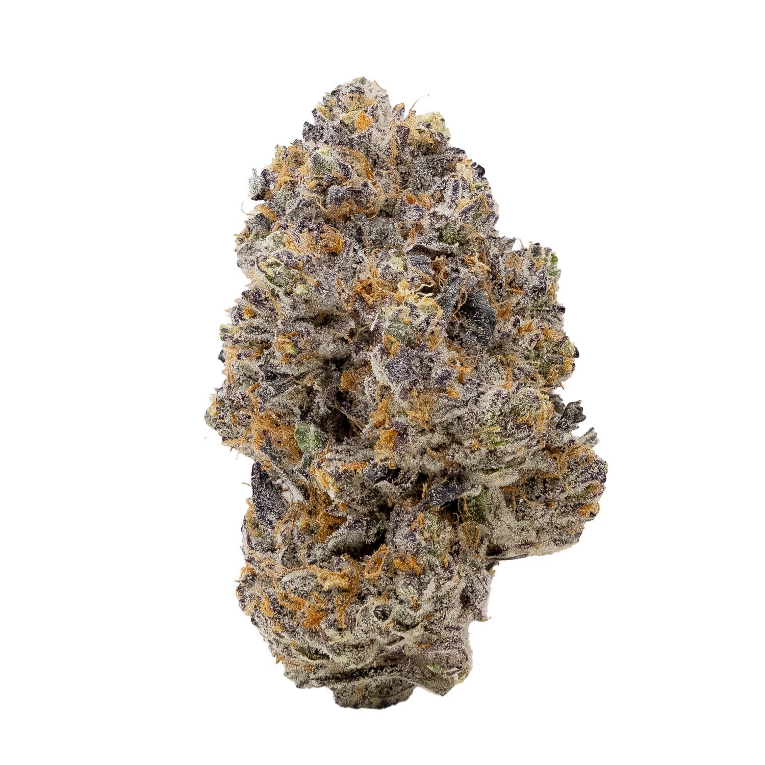 PlatinumGrapes-Hoot-03 (1)