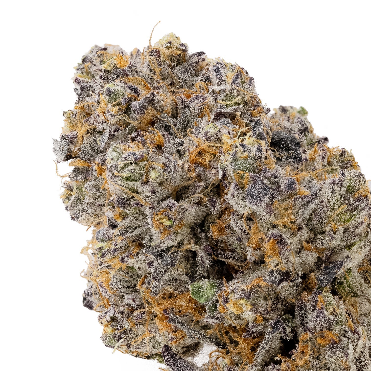 PlatinumGrapes-Hoot-04 (1)