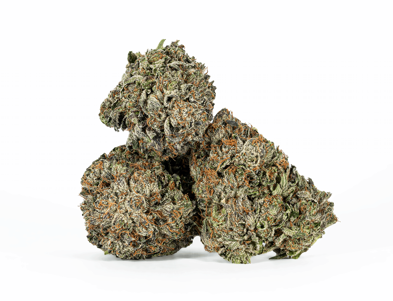 GANGSTER KUSH (AAAA) – 2