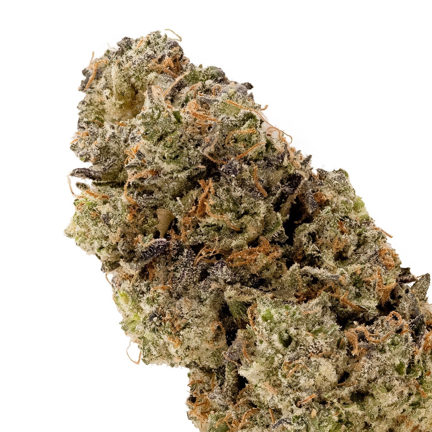 MK ULtra – Merry jane 3