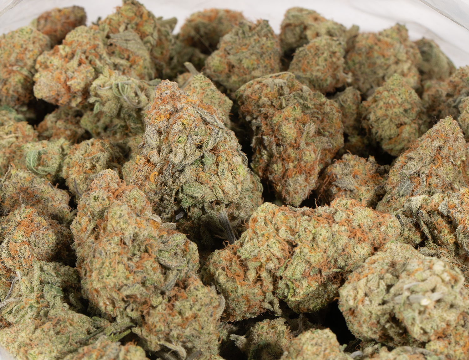 Goji OG 6 -1 – a