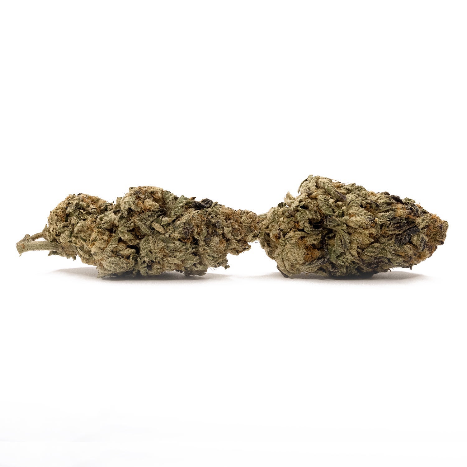 Comatose-LuckyFarms-01