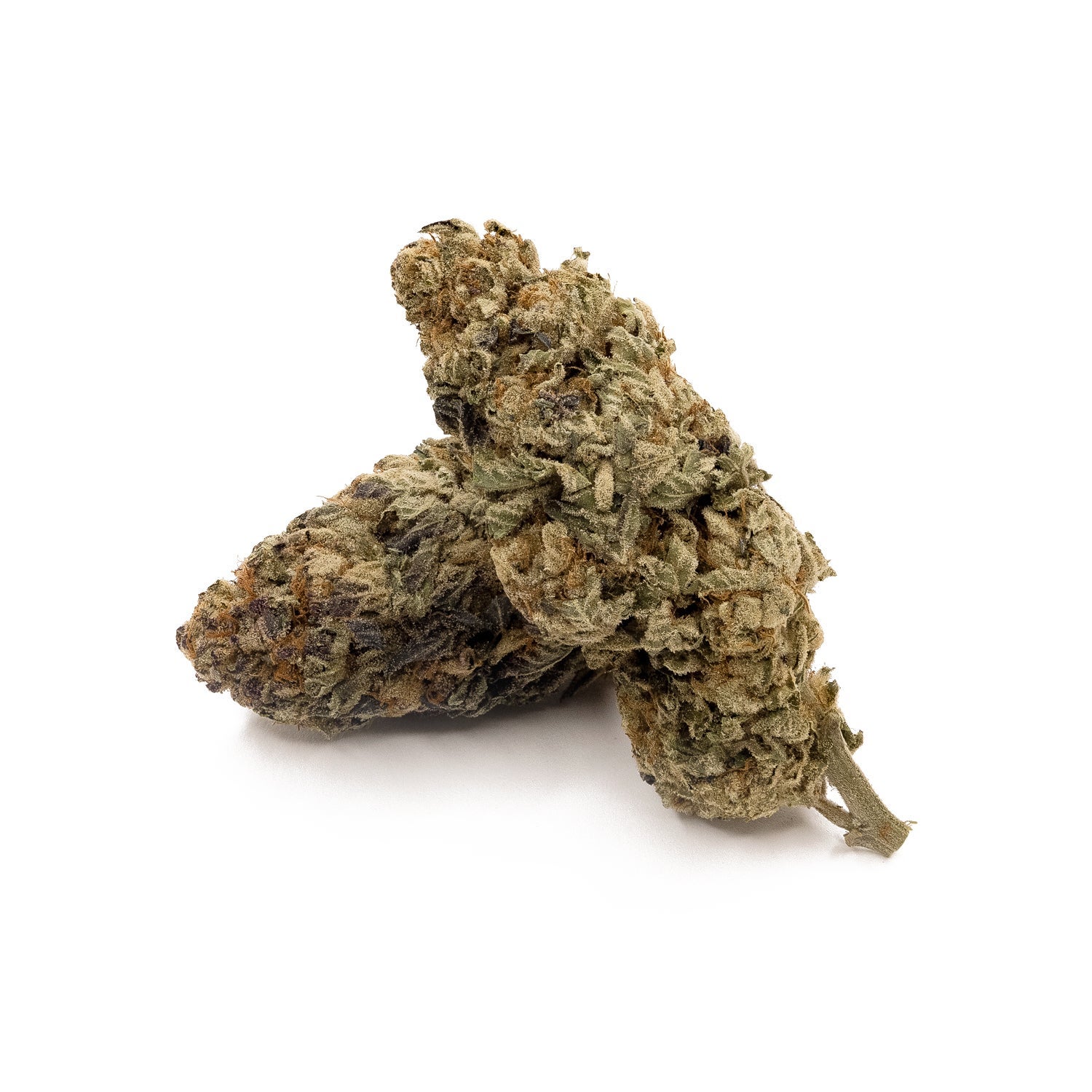 Comatose-LuckyFarms-02