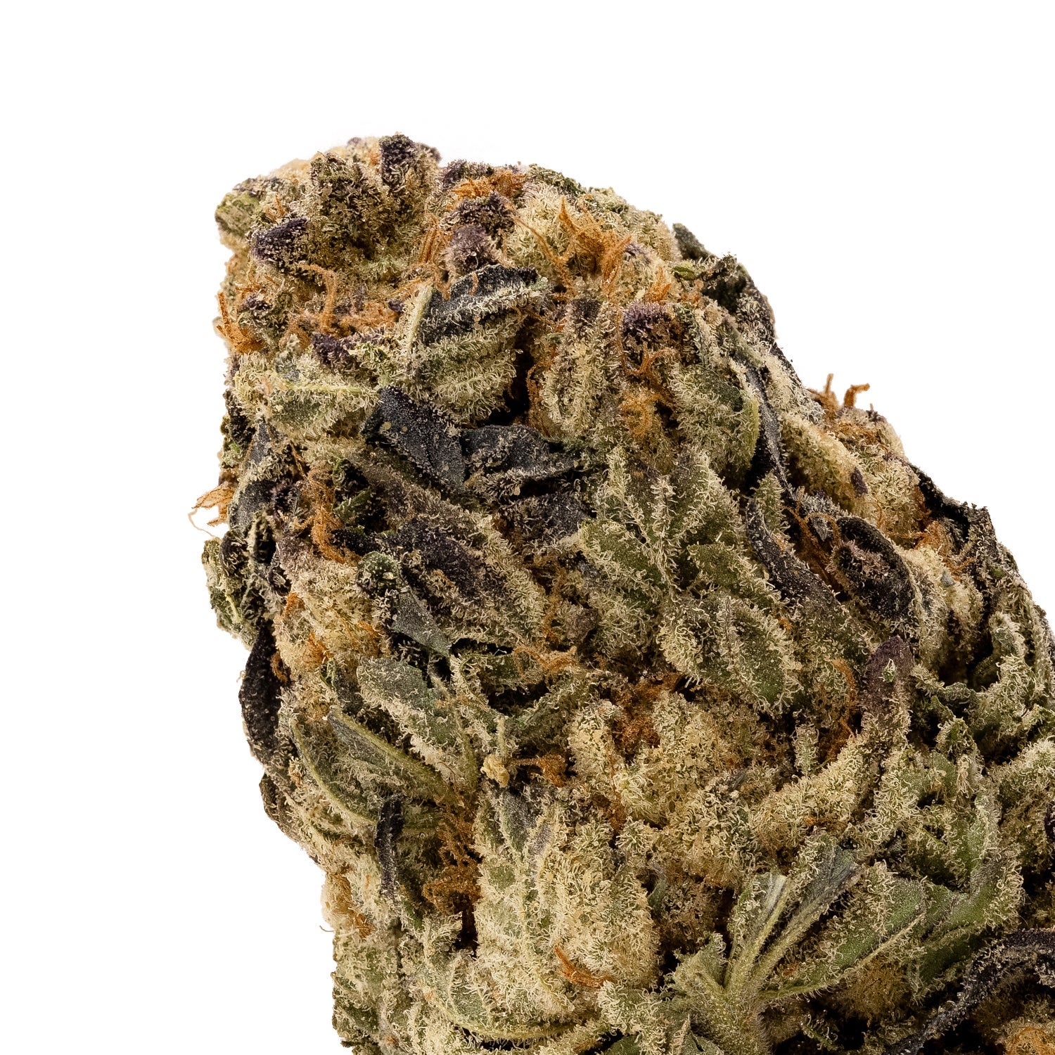 Comatose-LuckyFarms-04