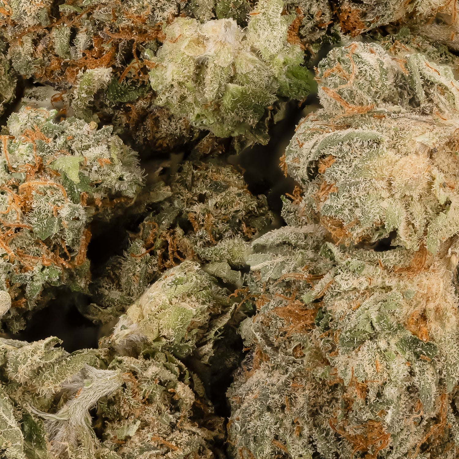 DeathBubbaSmalls-LuckyFarms-03