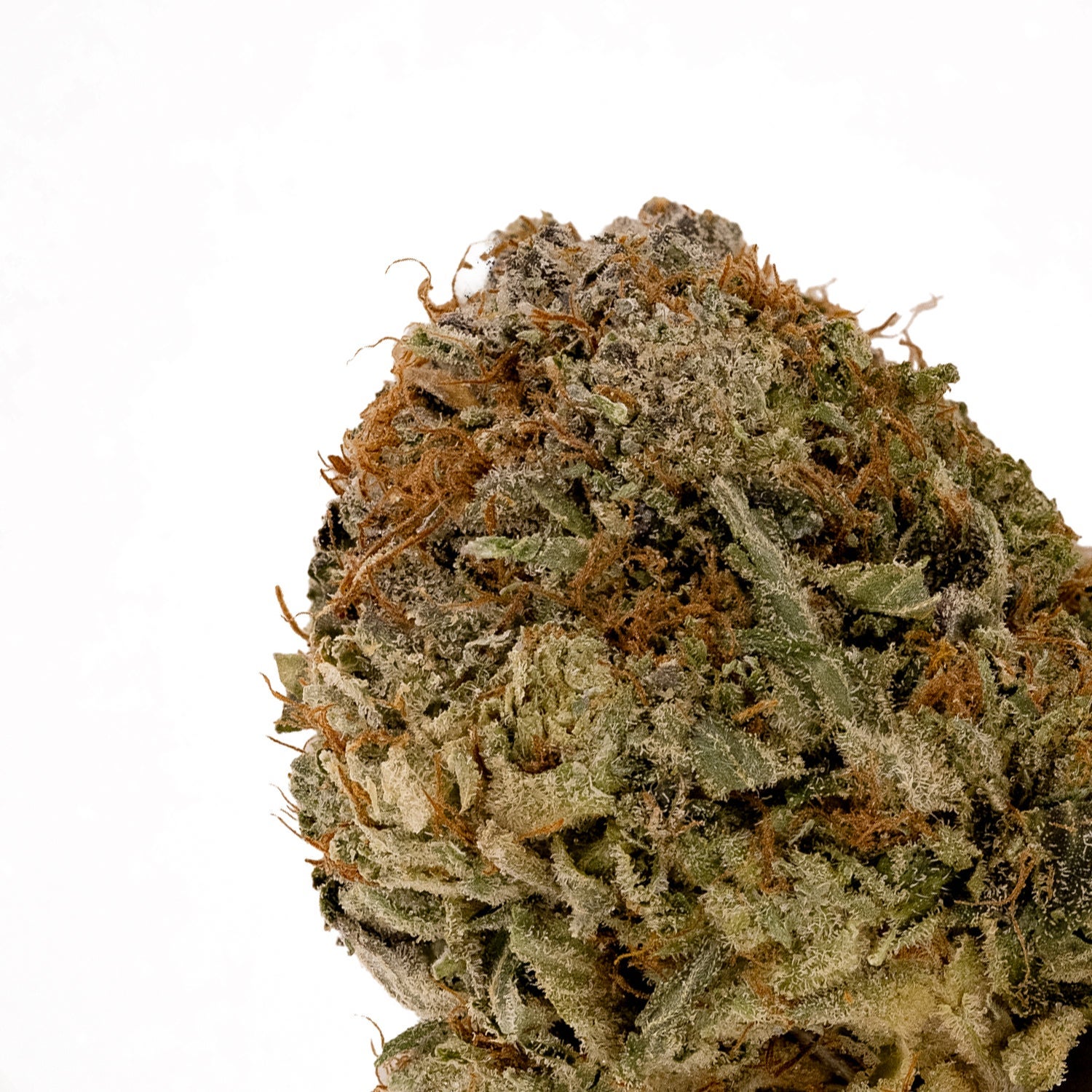 Pre88DeathBubba-04