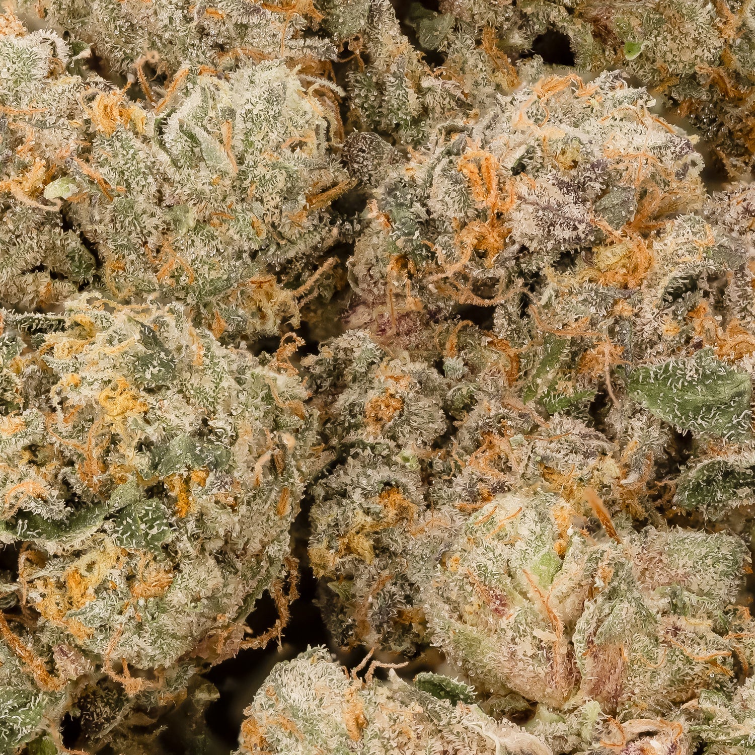 WeddingCakeSmalls-LuckyFarms-03