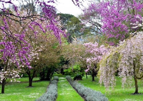Spring is Here