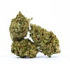 Lemon Tree (AA) Weed of Doobdasher, Canada
