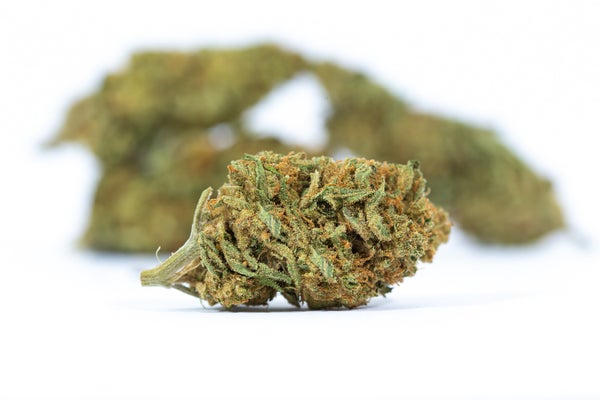 COTTON CANDY (3) Cotton Candy (AA)