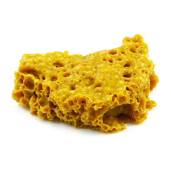 gg41 gg41