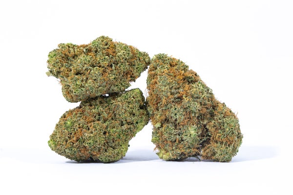 SOUR DIESEL-4-min SOUR DIESEL-4-min