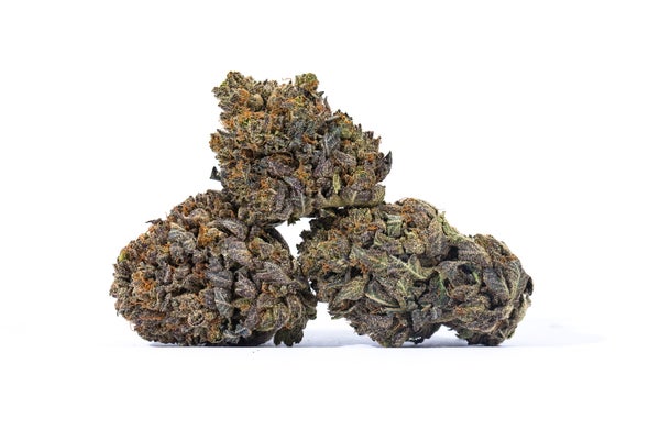 FOUR STAR GENERAL-4-min Four Star General (AA+)