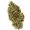 Rock Bud (AA) Weed of Doobdasher, Canada