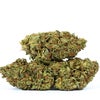 Rock Bud (AA) Weed of Doobdasher, Canada