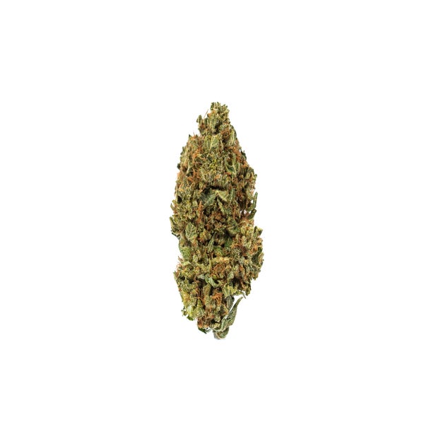 Rock Bud (AA) Weed of Doobdasher, Canada